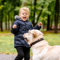 the-child-is-afraid-of-the-dog